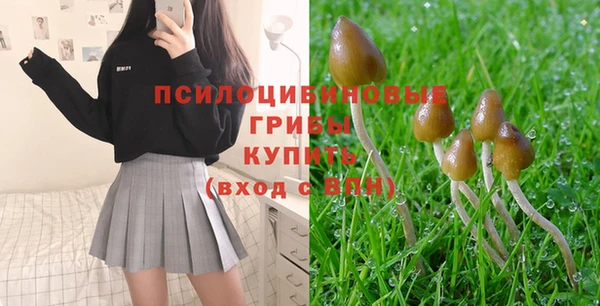 гидропоника Сосновоборск