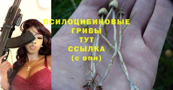 дмт Сосновка