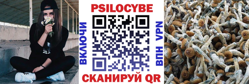 OMG онион  наркошоп  Усолье-Сибирское  Галлюциногенные грибы Psilocybine cubensis 