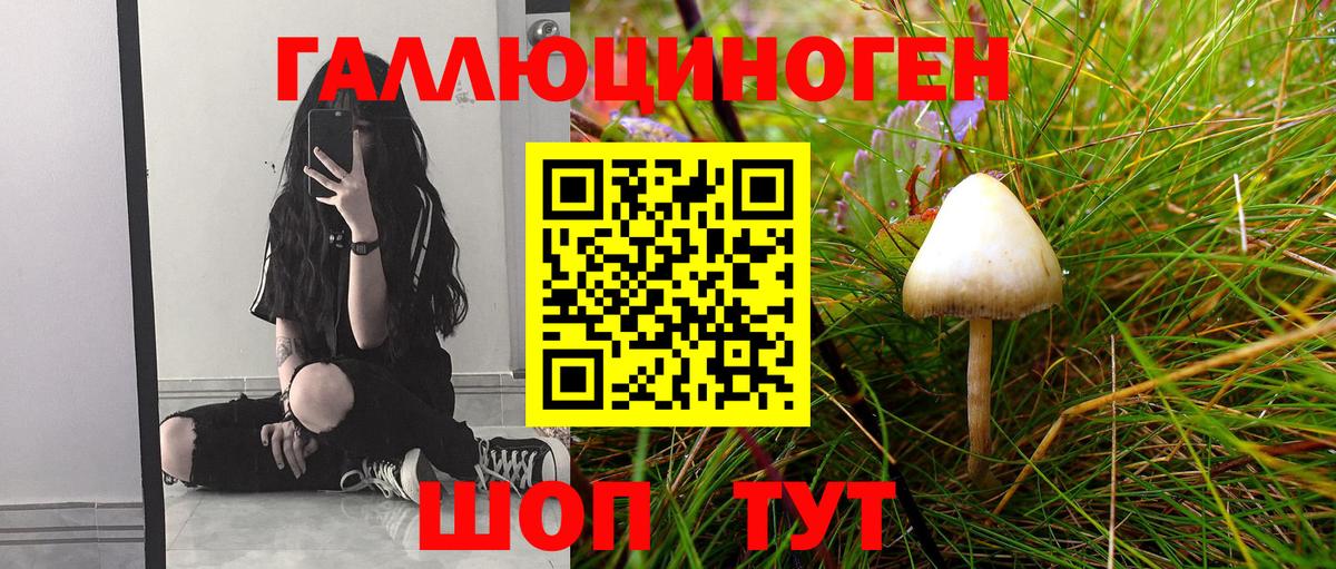 Псилоцибиновые грибы ЛСД Усолье-Сибирское